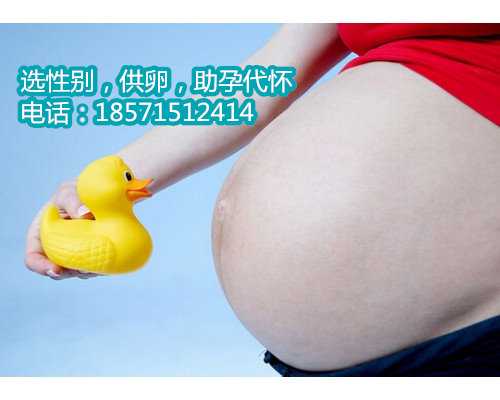 北京助孕咨询公司,弓形子宫有什么影响