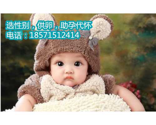 北京助孕机构有哪些,国内捐卵试管婴儿需满足的条件
