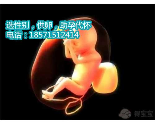 北京助孕方式那么多,1在国内借精生子费用大概多少