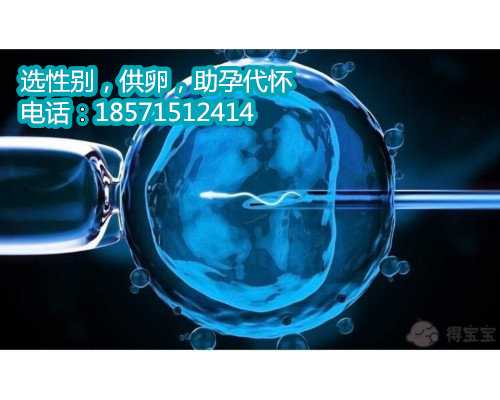 北京助孕公司哪家好,2胚胎移植洗澡需要