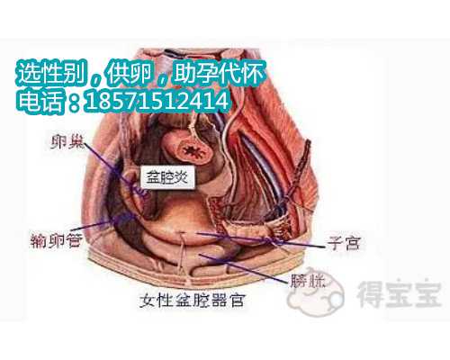 北京助孕一般得多少钱,残角子宫的症状