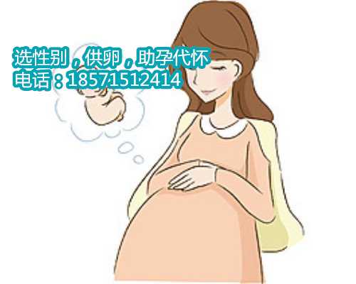 北京助孕公司借腹生子,试管移植囊胚成功率高吗