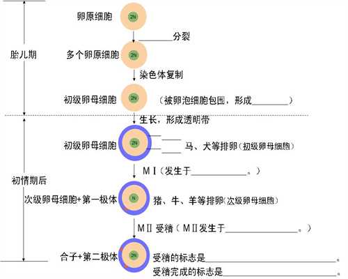 北京代孕包成功_北京安全可靠的助孕_2020个人代孕_代孕产子微信群