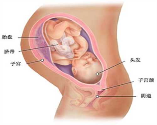 有谁需要代妈_本人北京急找代妈20到30_试管婴儿长方案促排_试管婴儿促排卵选