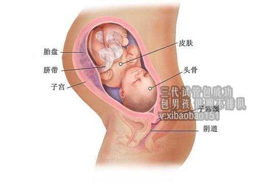 北京助孕的成功率高吗,孕期远离痔疮的4个妙招