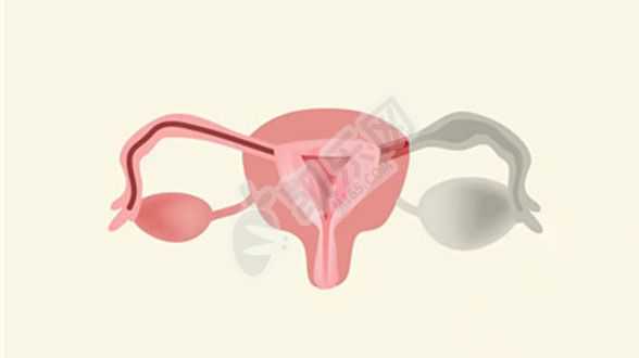北京助孕的公司有哪些,卵巢早衰的五大原因